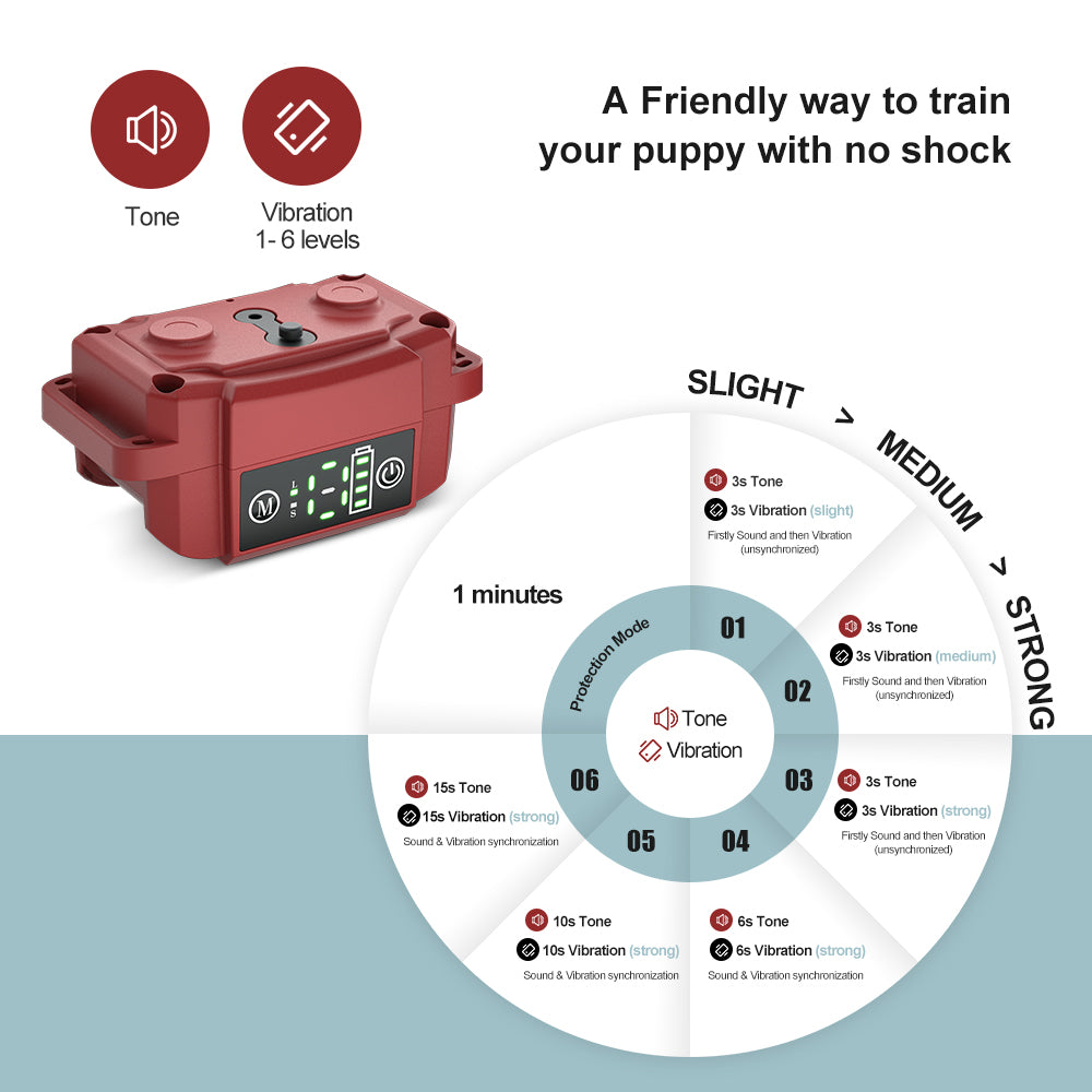 B601 Bark Training Collar (NO SHOCK)