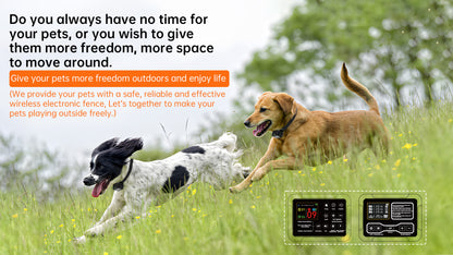 F900 Plus Wireless Dog Fence