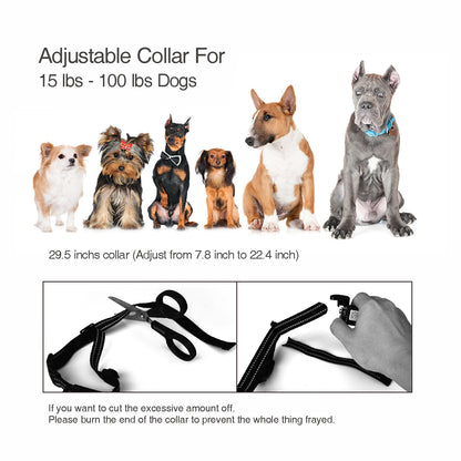 2-in-1 Dog Shock Collar 