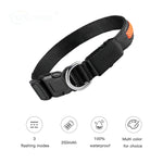 LED Dog Collar: Luminous, Waterproof, and Reflective Collar