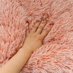Soft and Warm Pet Sleeping Blanket