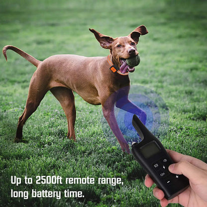 Rechargeable Dog Shock Collar with Remote 