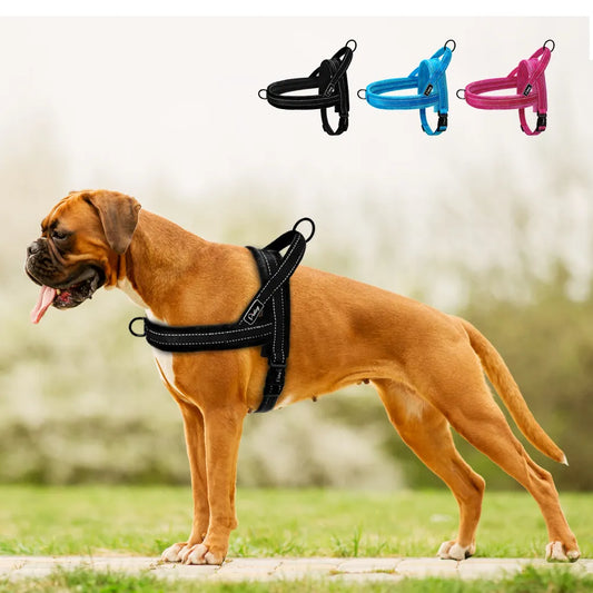 Reflective No-Pull Dog Harness with Plush Padding for All Sizes