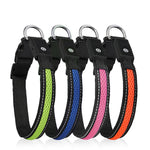 LED Dog Collar: Luminous, Waterproof, and Reflective Collar