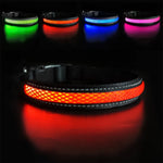 LED Dog Collar: Luminous, Waterproof, and Reflective Collar