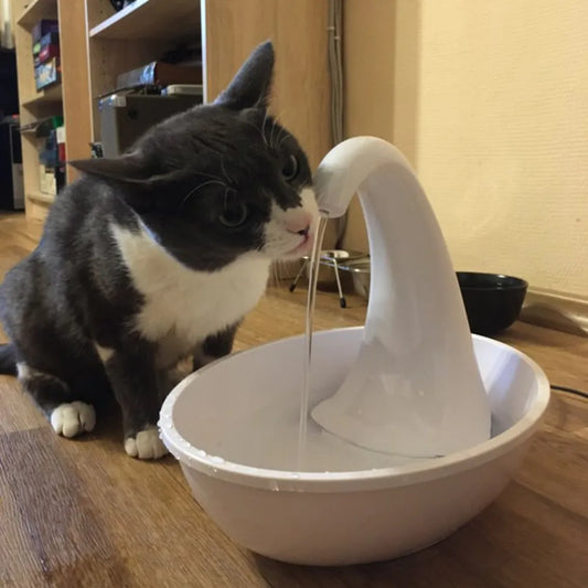 Automatic Swan Pet Water Dispenser