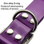 Fashionable Waterproof Pet Collar in High-Quality TPU + Nylon