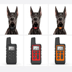 Remote Dog Training Collar: Waterproof and USB Rechargeable with Light