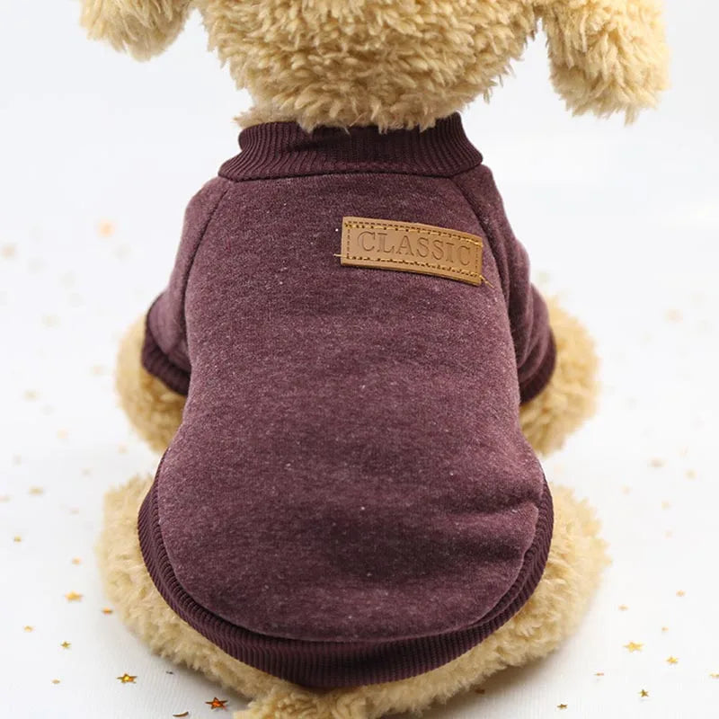 Small Dog Clothing