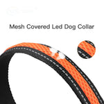 LED Dog Collar: Luminous, Waterproof, and Reflective Collar