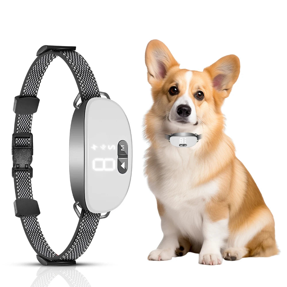 Automatic Anti-Bark Collar