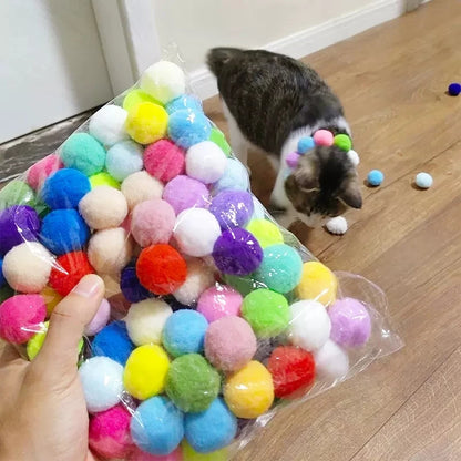 Interactive Cat Training Toy