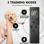 Smart Training Collar with Rechargeable Remote