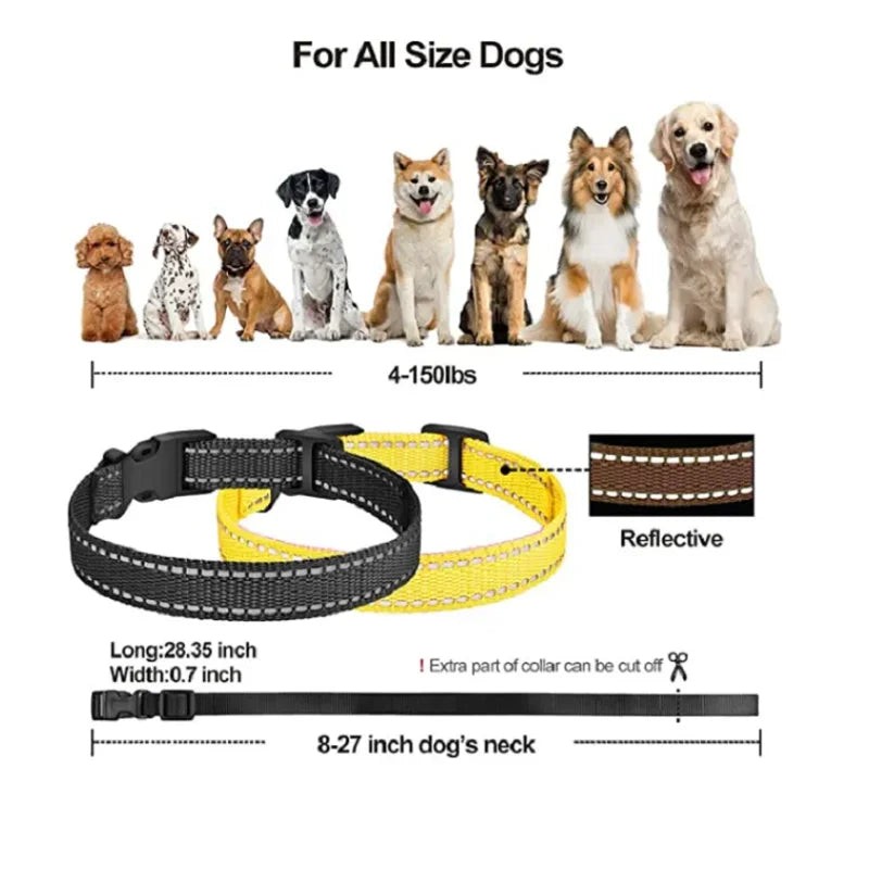 Replacement Dog Training Device Collar 