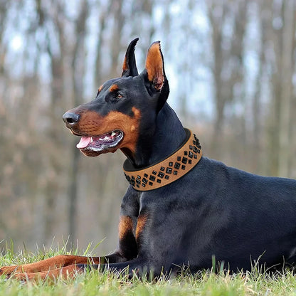 Cool Spiked Studded Dog Collar