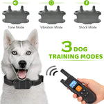 Dog Training Collar with Remote