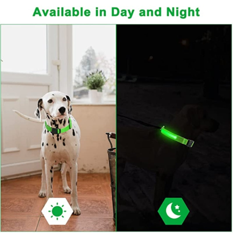 Adjustable LED Luminous Dog Collar