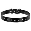 Black TPU Plastic Collar