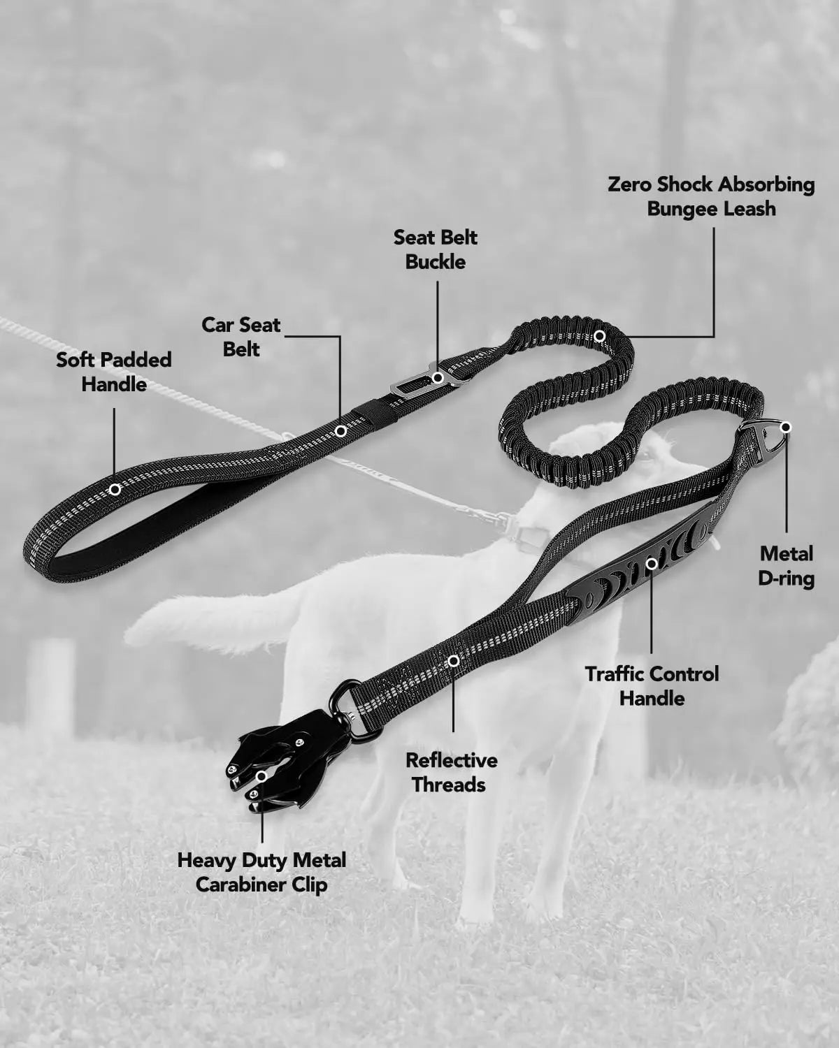 Heavy Duty Dog Leash with Elastic Bungee for Medium & Large Dogs