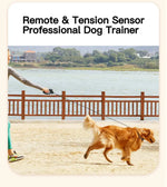 Electric Dog Training Collar with Remote Control