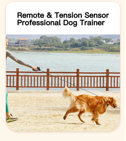 Electric Dog Training Collar with Remote Control