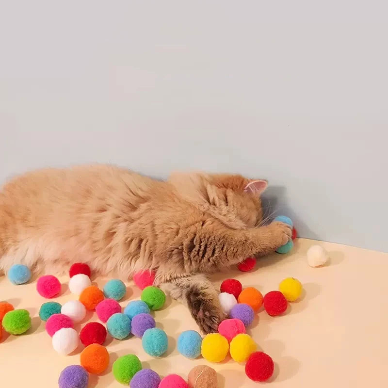 Interactive Cat Training Toy