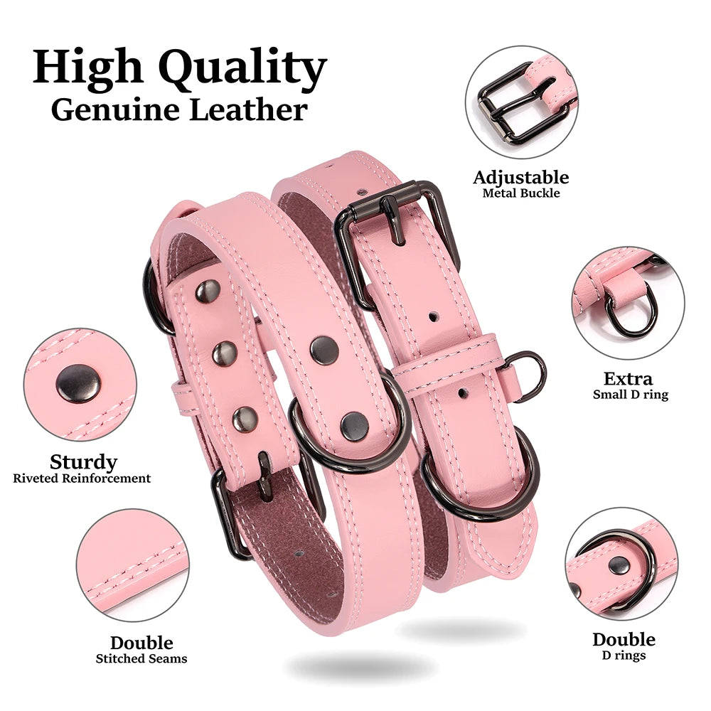 Durable Leather Dog Collar for Small, Medium, and Large Dogs