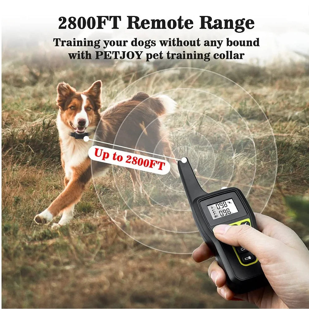 Vibrating Training Collar for Deaf Dogs