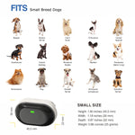 Small Dog Training Collar with Remote Control (300M)