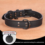 Adjustable PU Soft Leather Dog Collar