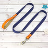 DeepBlue Leash / Large (L)