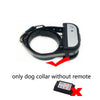 only dog collar / AU Plug