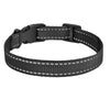 Black Reflective Nylon Collar