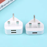 UK 3-Pin Plug to Type-B USB Charger for Dog Training Devices