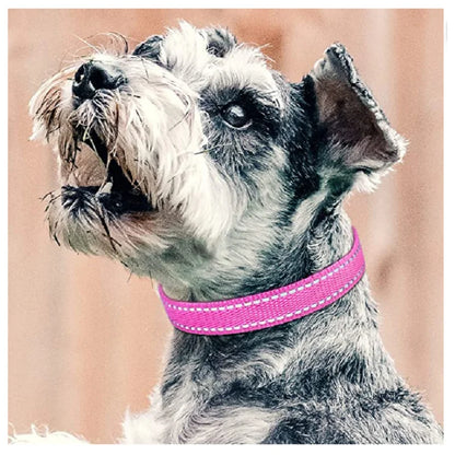 Dog Training Device Replacement Collar 