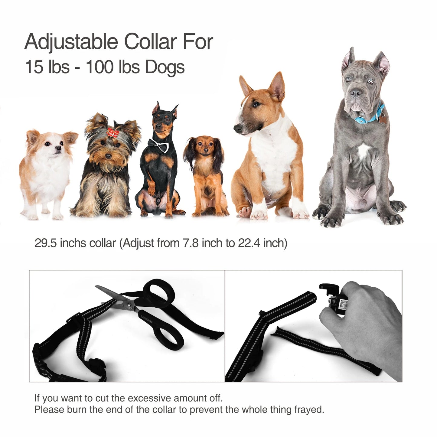 Electric Training Dog Collar (400 meters)