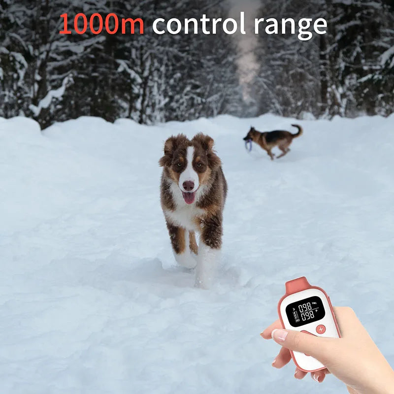 Dog Training Collar with Remote