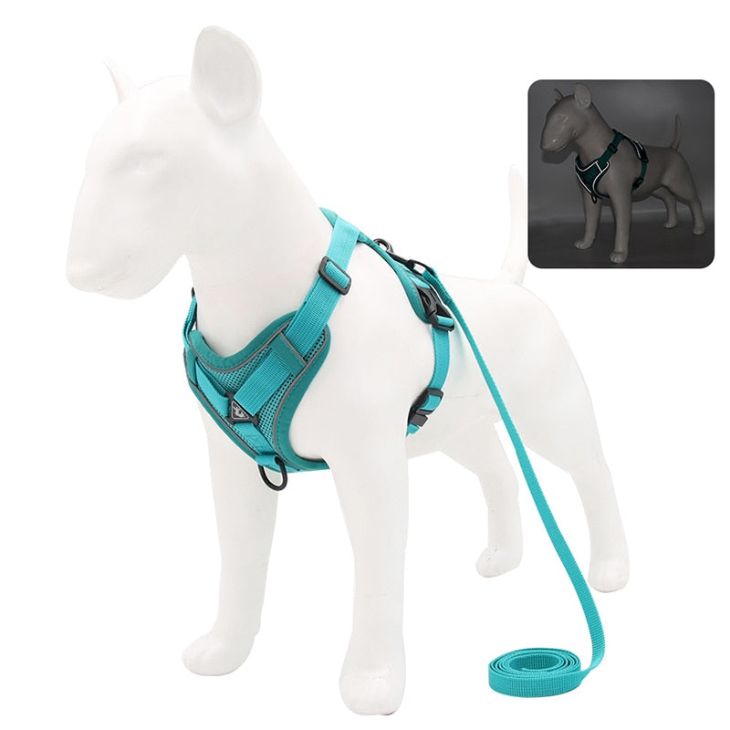 No Pull Dog Harness and Leash Set