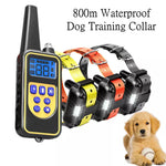 Electric Dog Training Collar