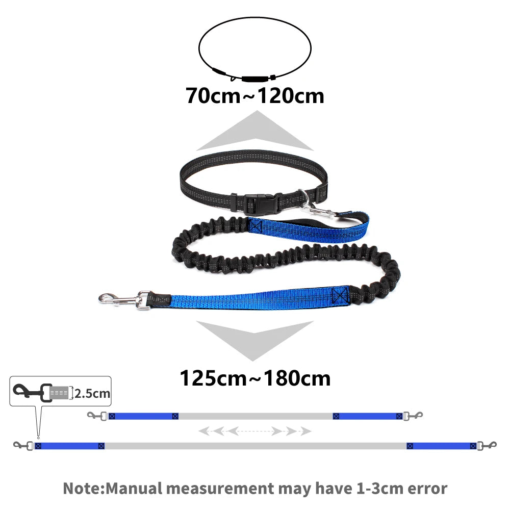 Hands-Free Dog Leash for Walking, Running, and Jogging