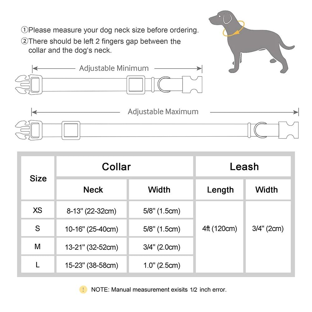 Personalised Leather Dog Collar and Lead Set