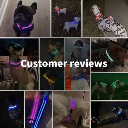 LED Glowing Dog Collar