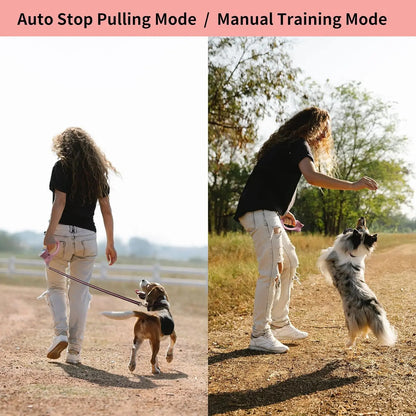 Smart Electronic Dog Leash