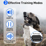 Dog Training Collar With Remote - No Shock Collar