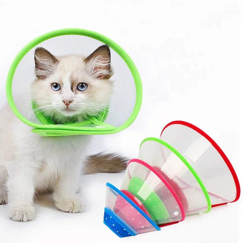 Cat and Dog Recovery Collar