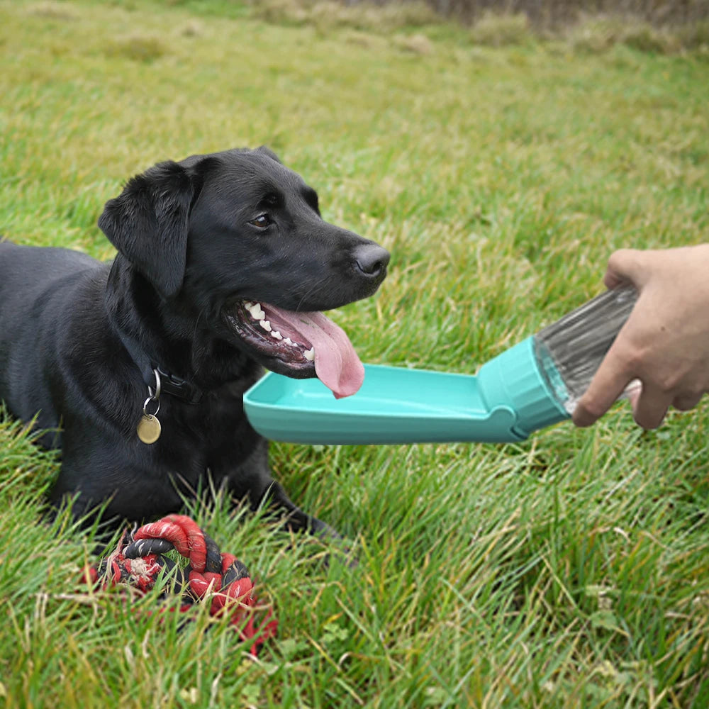 Portable Dog Water Bottle Dispenser For Small & Large Dogs 