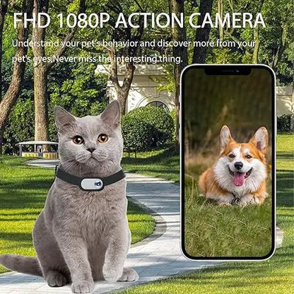 Cat and Dog Collar Camera with Video Recording