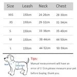 Adjustable Dog Harness and Leash Set for Pets