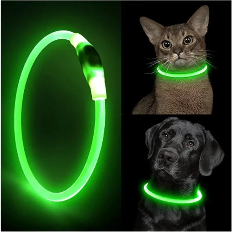 LED Light Dog Collar