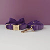 Bow Collar Leash16 / XL